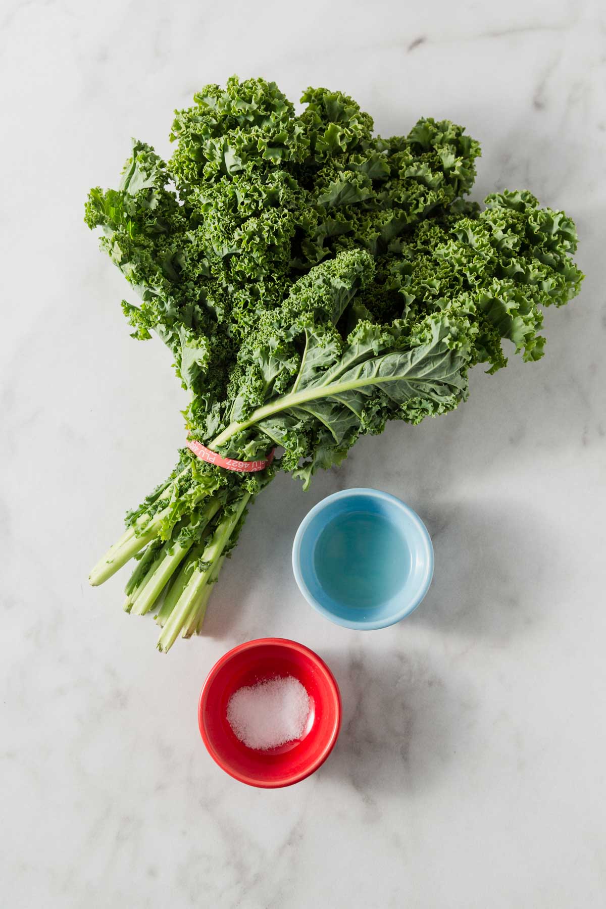 ingredients for air fryer kale chips.