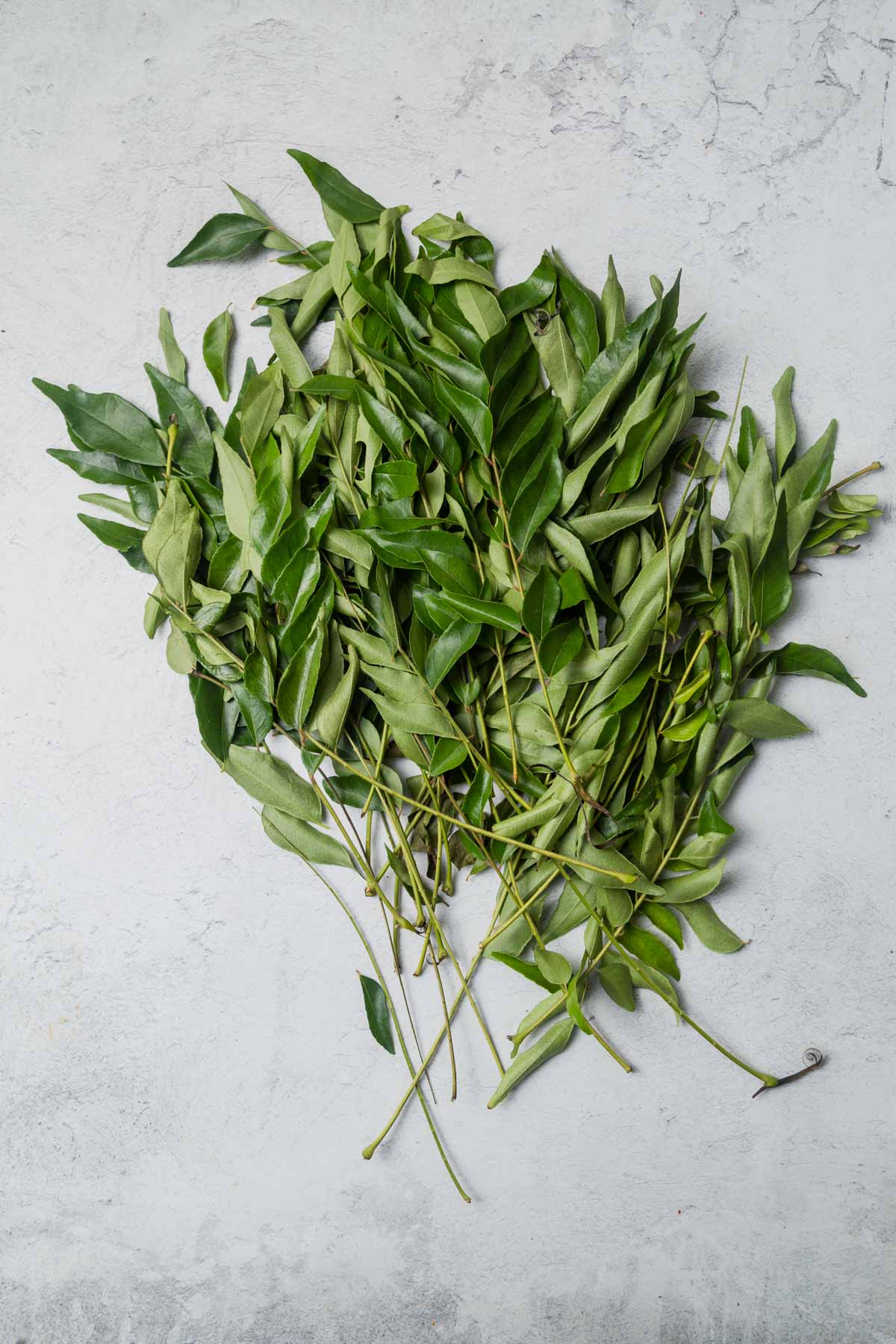 a bunch of fresh curry leaves on gray concrete.