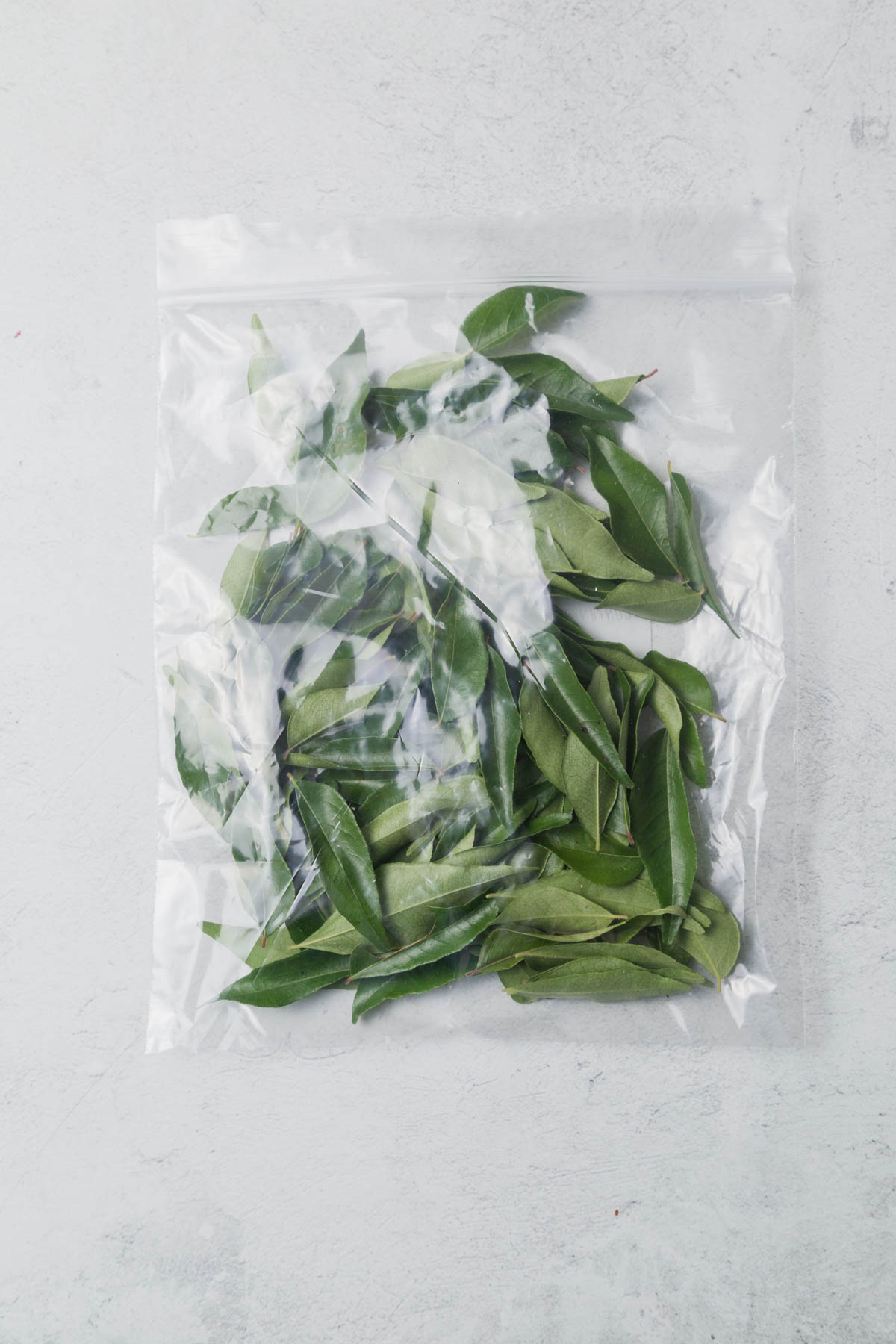 curry leaves store in a plastic bag for freezing.