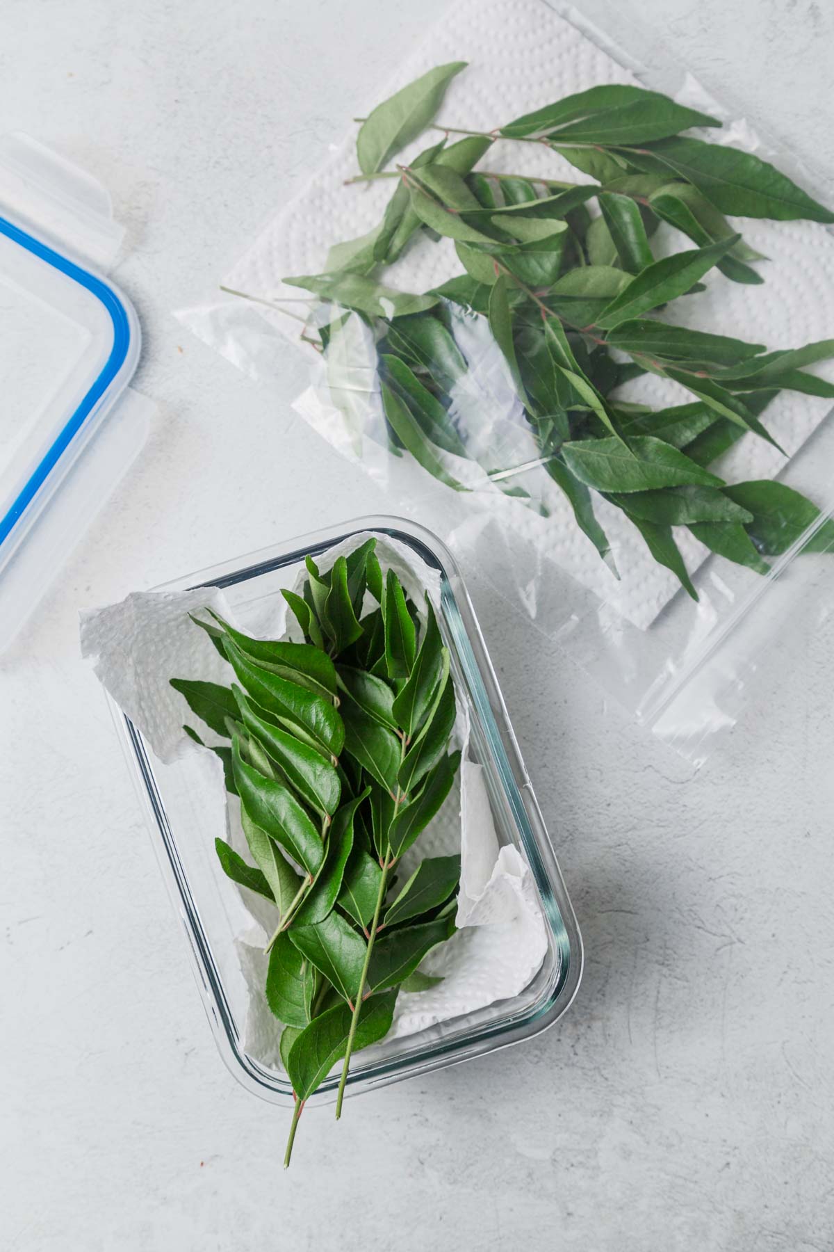 storing curry leaves in air tight container or bag.